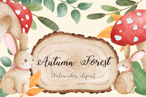 Autumn Forest Watercolor Illustrations Review