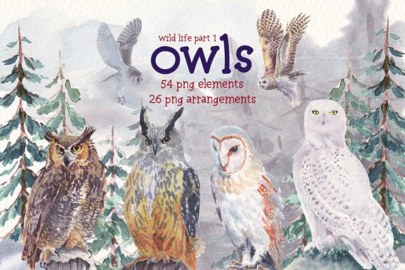 Owls Wild Life Watercolor Clipart Set & Illustrations