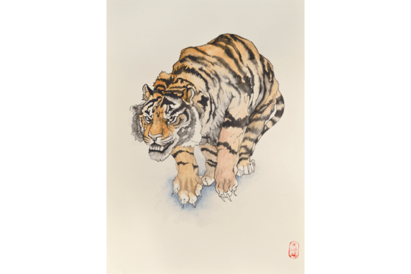 Tiger Watercolor Illustrations for Branding