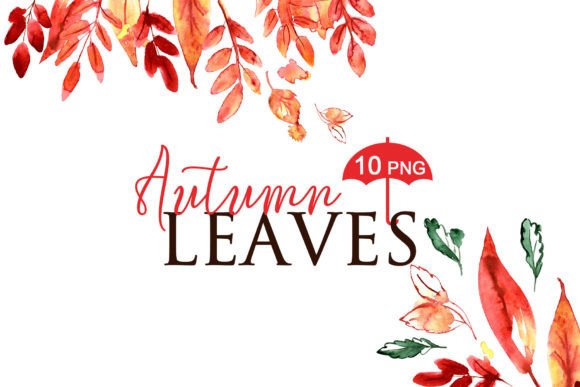 Watercolor Autumn Leaves PNG: Top Illustrations