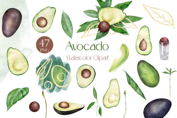 Watercolor Avocado Clipart Illustration Review