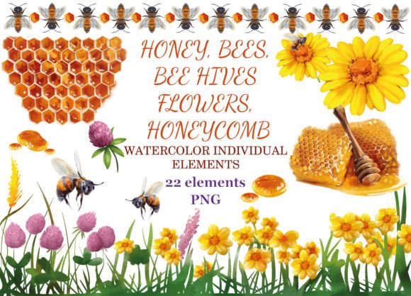 Watercolor Clipart Honey Hand Painted Illustrations
