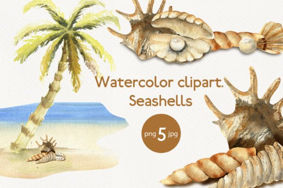 Watercolor Clipart Seashells: Illustrations That Bring Coastal Charm to Branding and Design