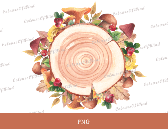Watercolor Fall Wood Slice Illustrations for Real Content Publishing