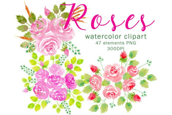 Watercolor Floral Clipart Pink Roses: A Fresh Illustration for Modern Branding