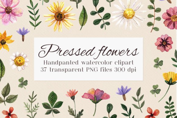Watercolor Flower Clipart PNG & Illustrations