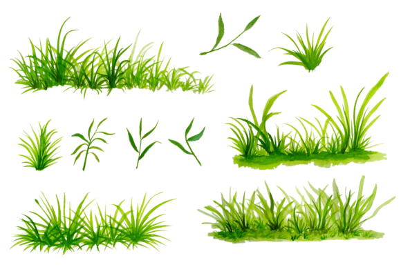 Watercolor Grass: A Designer’s Honest Review for Real Embroidery Use