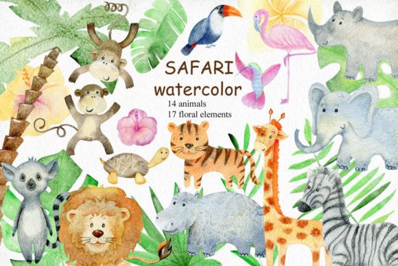 Watercolor Safari Animals Illustrations Review