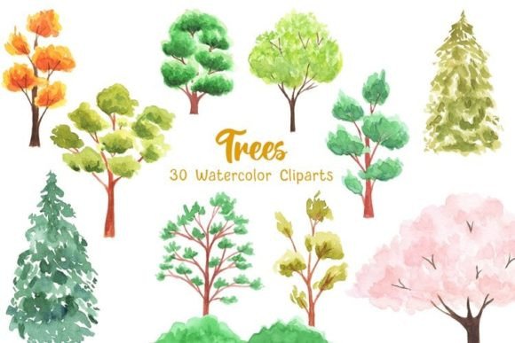 Watercolor Trees Clipart, Leaves PNG for Illustrations & Digital Product Sellers